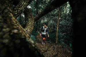 BIB: 
                            <button type="button" onclick="openModal(25666473)" class="btn btn-primary btn-sm float-right btn-popup" data-toggle="modal" data-target=".modal-high-quality">
                        <i class="fas fa-shopping-cart"></i> Add to Cart
                    </button>
                                            <button type="button" onclick="isThisMe(25666473, true)" class="btn btn-success btn-sm float-right btn-popup btn-isme hidden" data-toggle="tooltip" data-placement="bottom" title="นี่คือรูปของคุณใช่ไหม คลิกที่นี่เพื่อเอาเข้าอัลบั้ม">
                        <i class="fas fa-plus"></i> Add to album
                    </button>
                    <button type="button" onclick="isThisMe(25666473, false)" class="btn btn-warning btn-sm float-right btn-popup btn-isnotme hidden">
                        <i class="fas fa-ban"></i> Remove from album
                    </button>